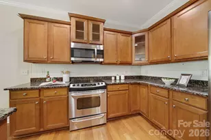 51037 Arrieta Ct, Fort Mill, SC 29707 - Photo 10