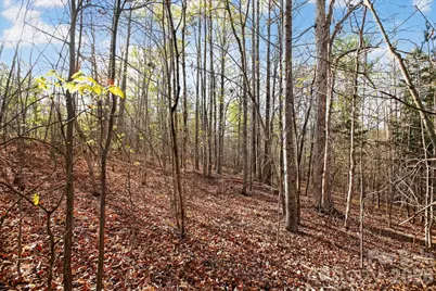 Lot 62 Dirksen Avenue, Nebo, NC 28655 - Photo 1