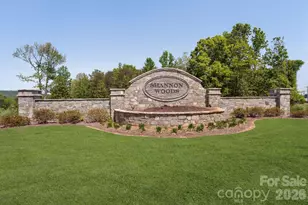 7027 Juneberry Way, Maiden, NC 28650 - Photo 34