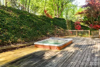 42 Bushwald Lane, Swannanoa, NC 28778 - Photo 32