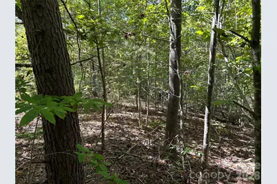 168 Robinwood Trail, Bostic, NC 28018 - Photo 6