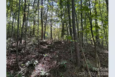 168 Robinwood Trail, Bostic, NC 28018 - Photo 8