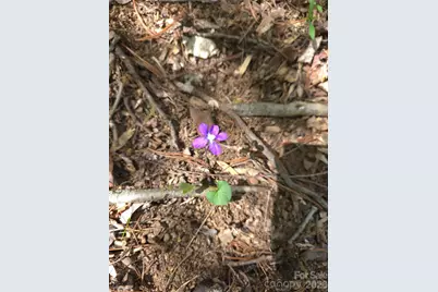 0 Winding Way Drive #32/33, Franklin, NC 28734 - Photo 12