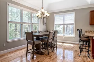 44 Cherry Ridge Lane, Weaverville, NC 28787 - Photo 14