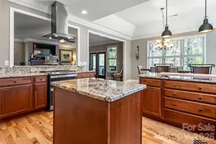 44 Cherry Ridge Lane, Weaverville, NC 28787 - Photo 20