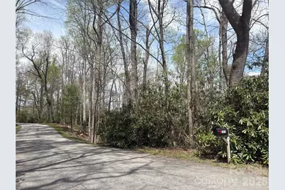 Tbd Swiss Pine Lake Drive #117, Spruce Pine, NC 28777 - Photo 1