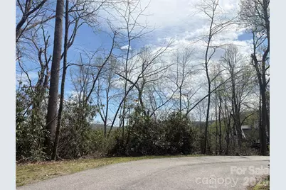 Tbd Swiss Pine Lake Drive #117, Spruce Pine, NC 28777 - Photo 4