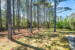 443 Crowders Bluff Ct, Clover, SC 29710 - Photo 46
