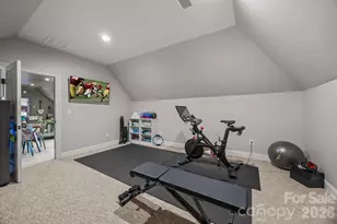 18710 Peninsula Cove Ln, Cornelius, NC 28031 - Photo 38