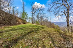1299 Black Frst Dr, Bryson City, NC 28713 - Photo 44