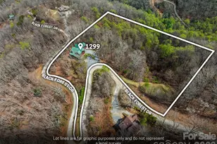 1299 Black Frst Dr, Bryson City, NC 28713 - Photo 46