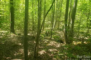 3727 Mt Beulah Rd, Sherrills Ford, NC 28673 - Photo 1