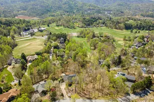 11 High Meadow Dr, Weaverville, NC 28787 - Photo 46