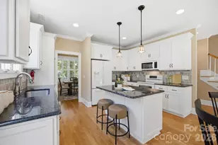 625 James Alexander Way, Davidson, NC 28036 - Photo 16