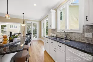 625 James Alexander Way, Davidson, NC 28036 - Photo 20