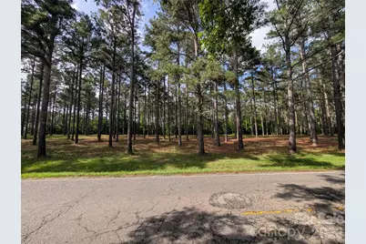 0000 Blessed Hope Road #3, York, SC 29745 - Photo 4