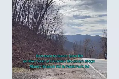 125 Gavin Glen Road, Weaverville, NC 28787 - Photo 2