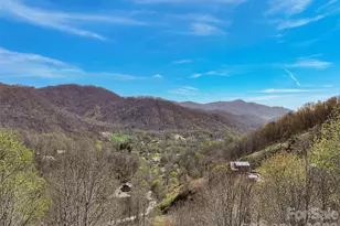 4823 Max Patch Rd, Clyde, NC 28721 - Photo 16