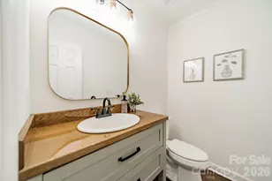 231 S Downs Way, Fort Mill, SC 29708 - Photo 24