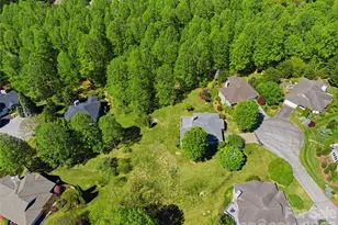 35 Stonecrest Ct, Flat Rock, NC 28731 - Photo 42