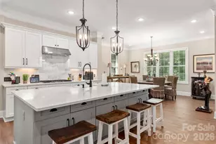 859 Irish Creek Drive, Landis, NC 28088 - Photo 10
