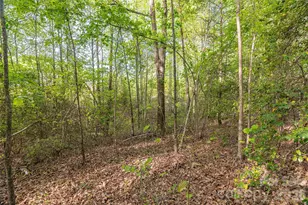482 Jm Lovelace Rd, Ellenboro, NC 28040 - Photo 30