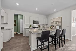 1043 Rocking Horse Rd, Indian Trail, NC 28079 - Photo 4