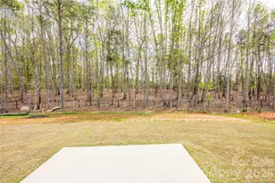 109 Brixham Loop, Troutman, NC 28166 - Photo 38