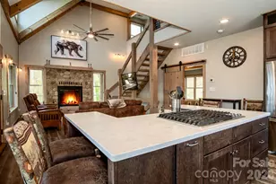 3171 E Fork Rd, Brevard, NC 28712 - Photo 16