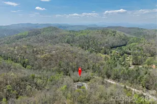 3171 E Fork Rd, Brevard, NC 28712 - Photo 12