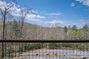 3171 E Fork Rd, Brevard, NC 28712 - Photo 24