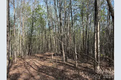 0 Running Cedar Trail, Morganton, NC 28655 - Photo 30
