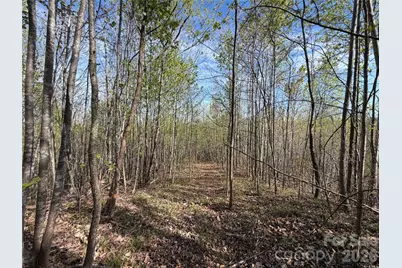 0 Running Cedar Trail, Morganton, NC 28655 - Photo 14
