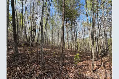 0 Running Cedar Trail, Morganton, NC 28655 - Photo 22