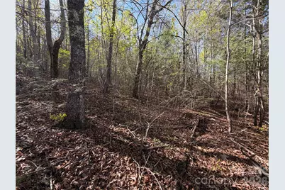 0 Running Cedar Trail, Morganton, NC 28655 - Photo 36