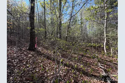 0 Running Cedar Trail, Morganton, NC 28655 - Photo 6