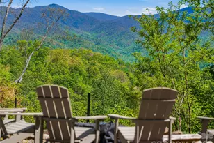 110 N Knob Ln, Weaverville, NC 28787 - Photo 34