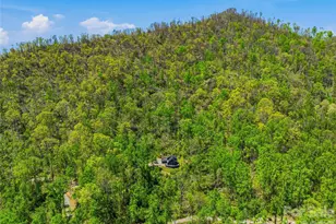 110 N Knob Ln, Weaverville, NC 28787 - Photo 40