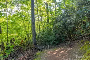 283 Briggs Cove Rd, Robbinsville, NC 28771 - Photo 32