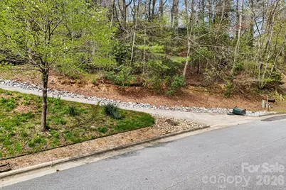 Lot 61 Deerlake Drive, Brevard, NC 28712 - Photo 4