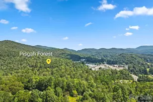 71 Laurel Mountain Rd, Brevard, NC 28712 - Photo 2