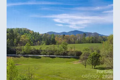 17 Dreambird Drive, Leicester, NC 28748 - Photo 34