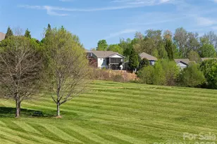 17 Dreambird Dr, Leicester, NC 28748 - Photo 42
