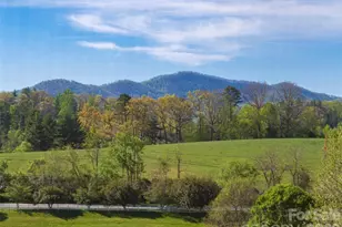 17 Dreambird Dr, Leicester, NC 28748 - Photo 28
