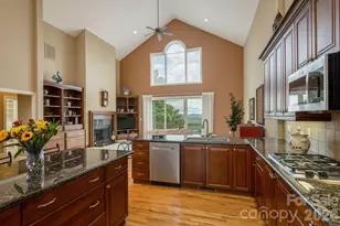 20 N Mission Hills Ct, Mills River, NC 28759 - Photo 18