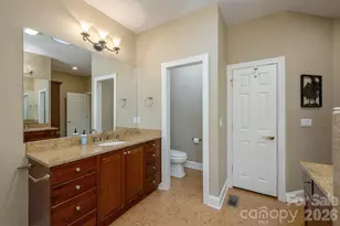 20 N Mission Hills Ct, Mills River, NC 28759 - Photo 24