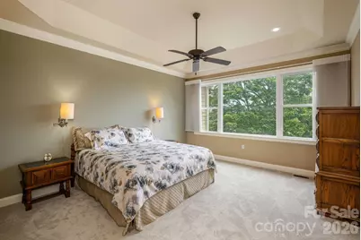 20 N Mission Hills Court, Mills River, NC 28759 - Photo 20
