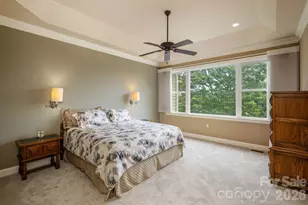 20 N Mission Hills Ct, Mills River, NC 28759 - Photo 20