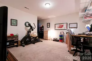 13732 Cinnabar Pl, Huntersville, NC 28078 - Photo 24