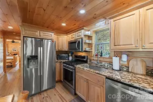 356 Walnut Cv Rdg, Bryson City, NC 28713 - Photo 18
